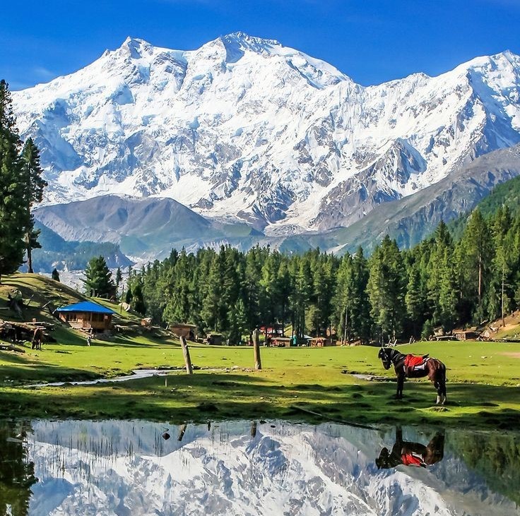 Fairy Meadows