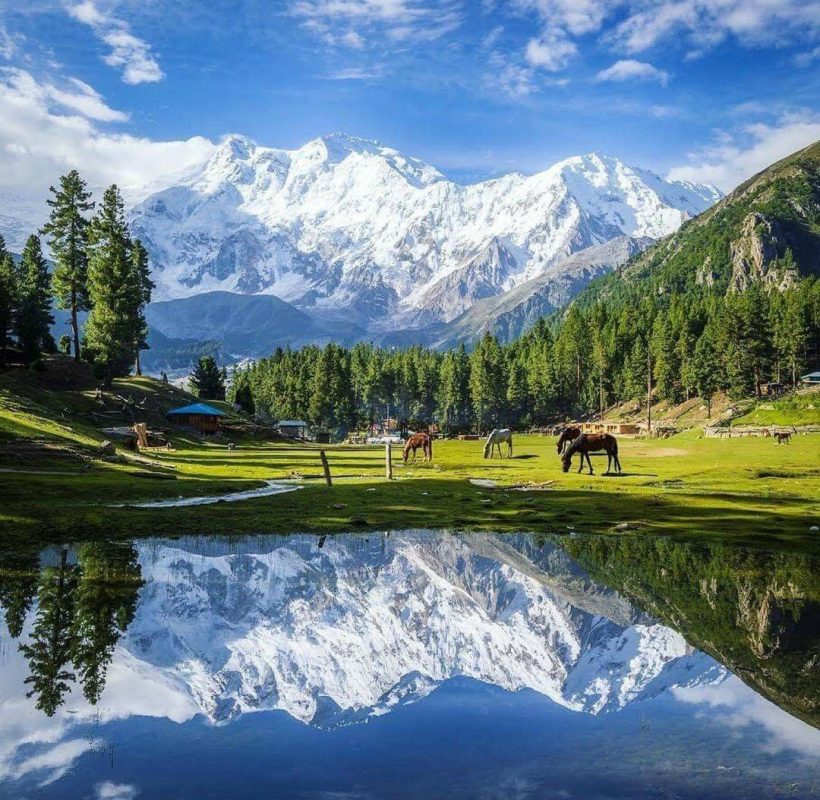 Fairy Meadows & Nanga Parbat