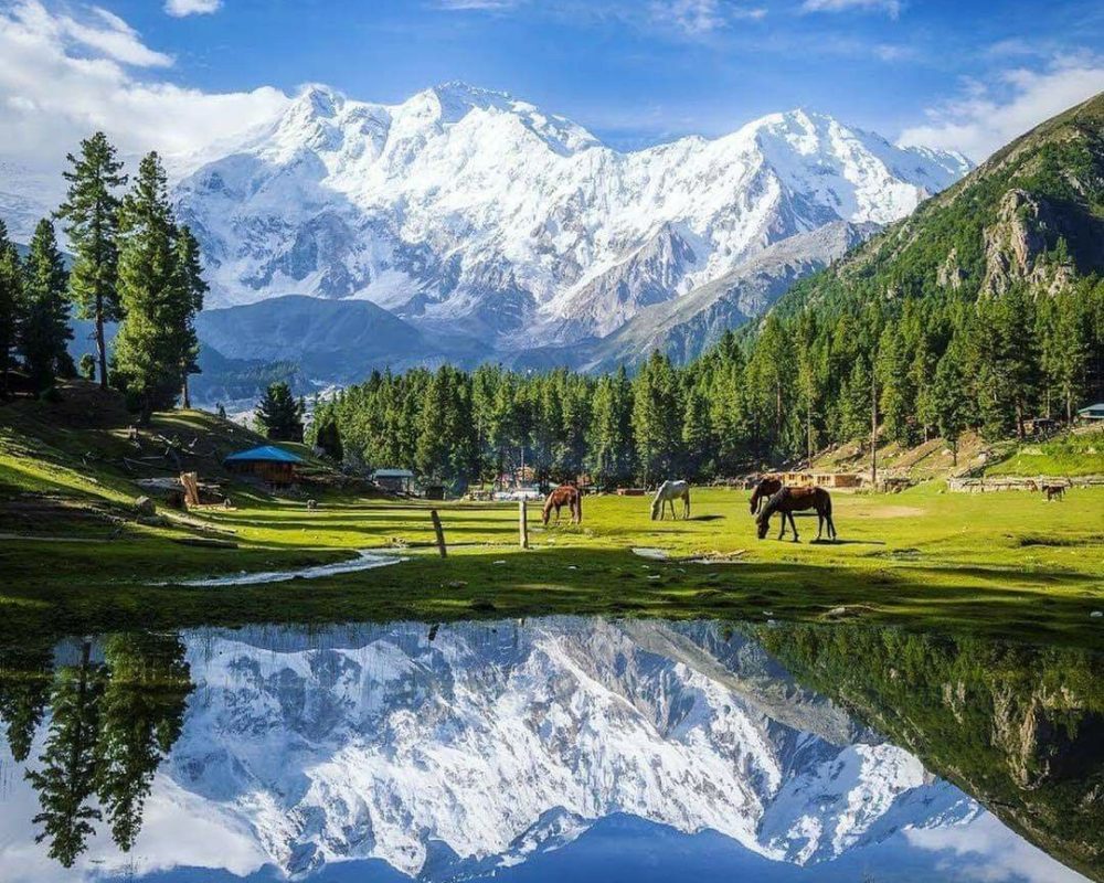 Fairy Meadows & Nanga Parbat